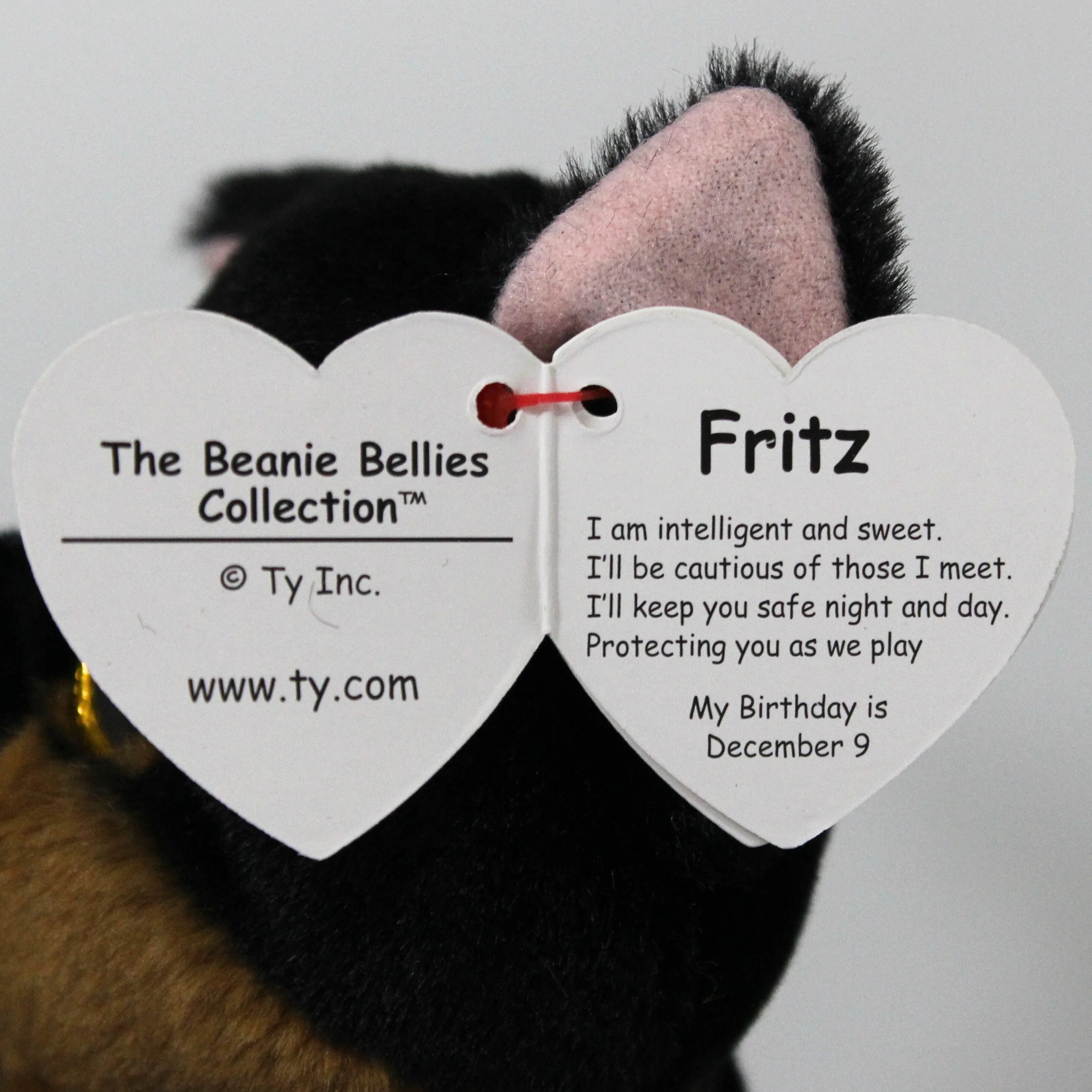 Product image 5